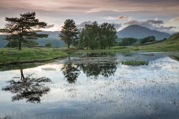 Kelly Hall Tarn 1