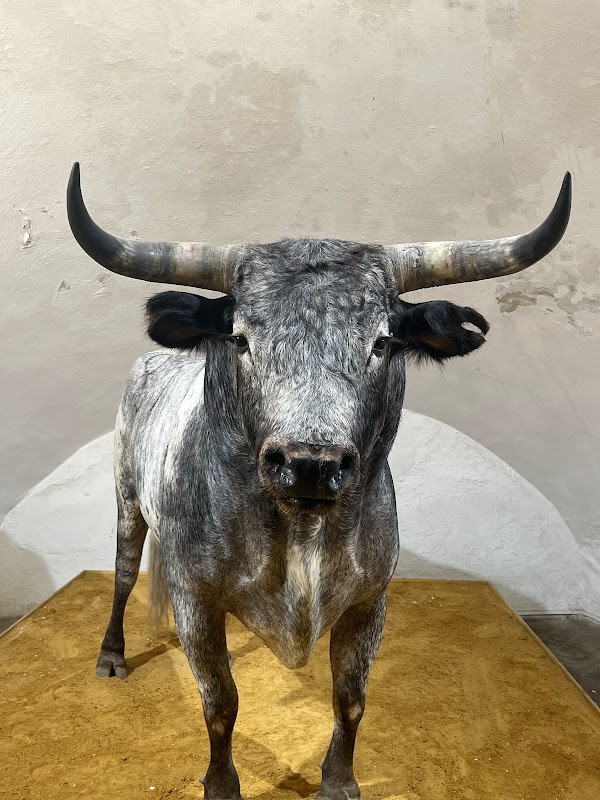 Plaza de Toros de la Real Maestranza de Caballería de Sevilla 4