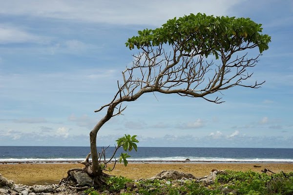 Jaluit Atoll 5