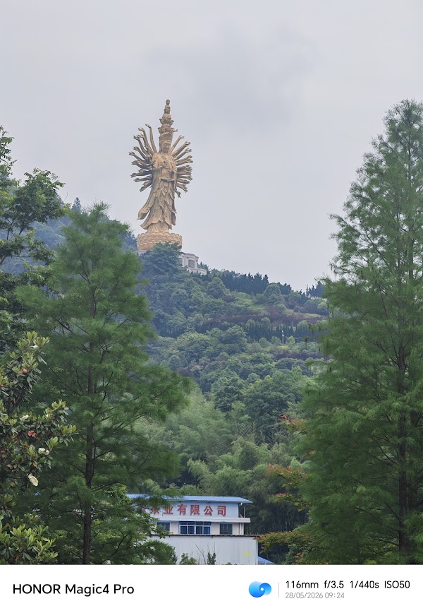 Guishan Guanyin 3