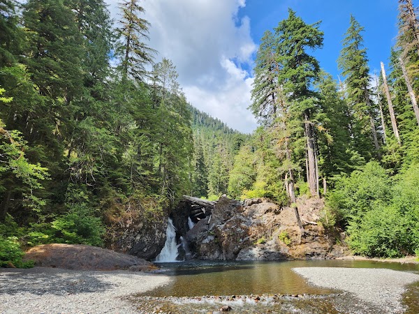 Wynoochee Falls