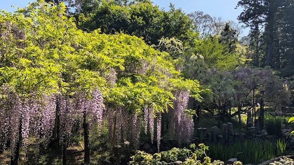 Manyo Botanical Gardens 4