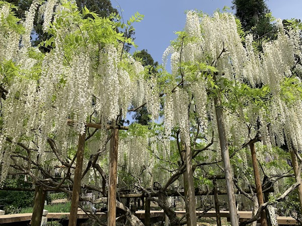 Manyo Botanical Gardens 3