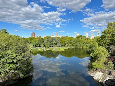 Turtle Pond