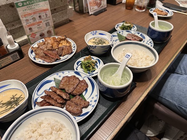 Negishi 4