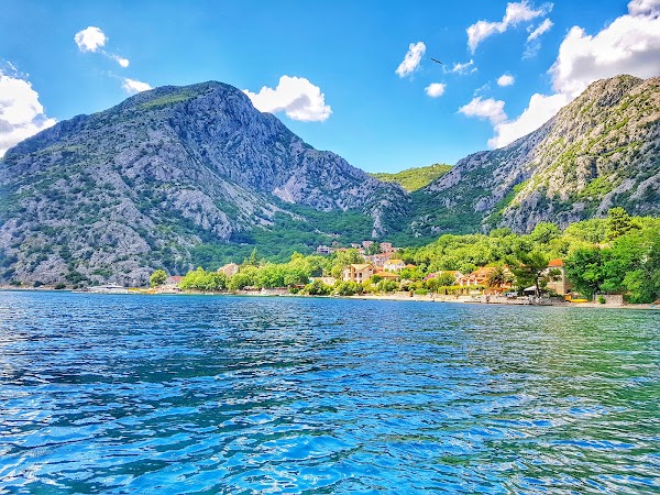 Orahovac 2