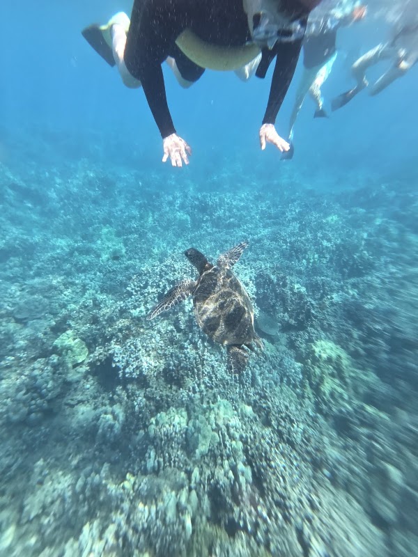 Molokini Crater 2