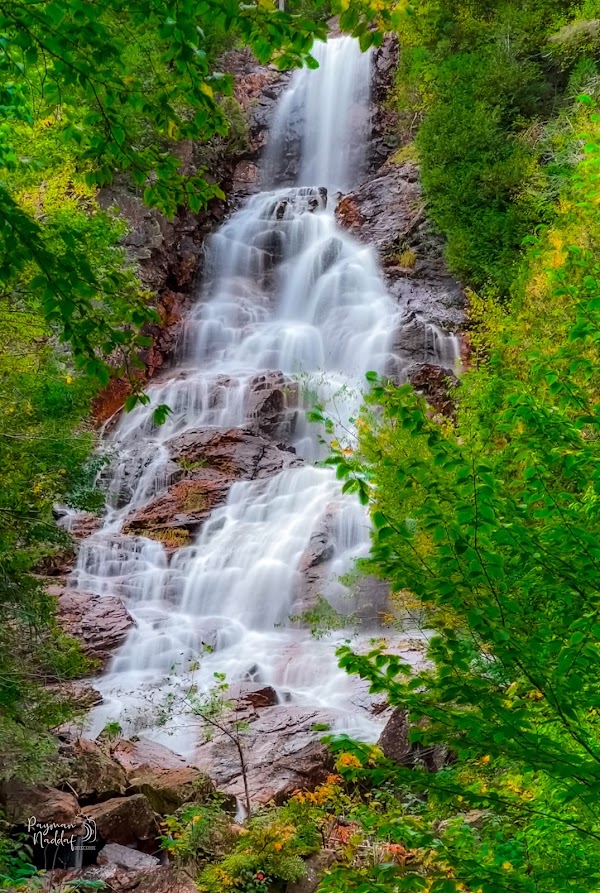 Black Beaver Falls