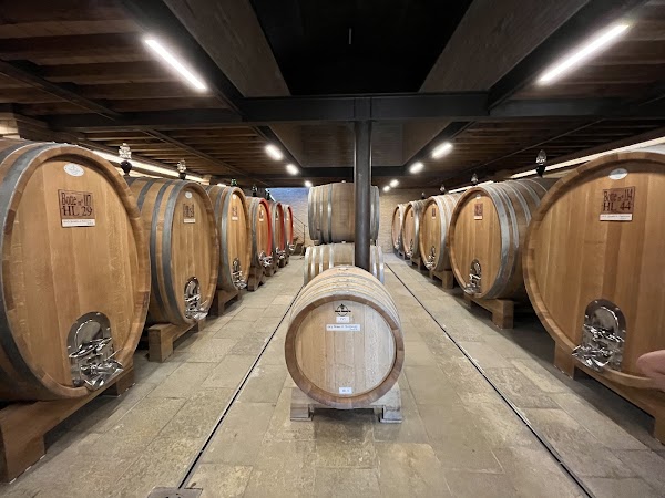 Mastrojanni Winery 5