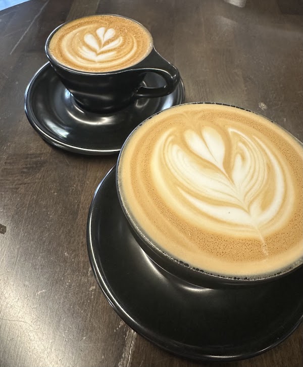Not Just Coffee 5