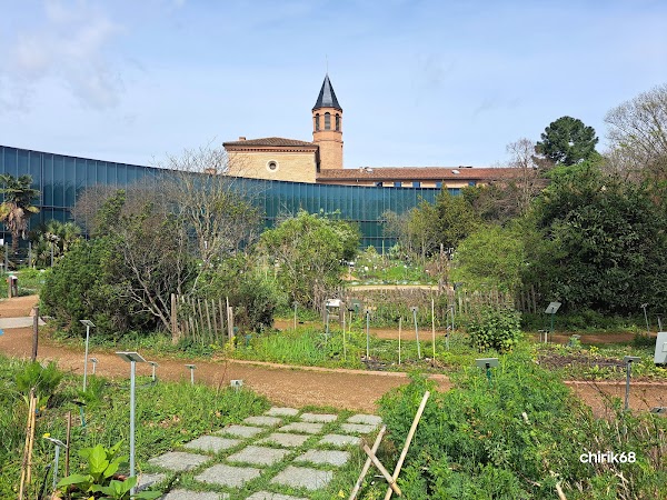 Muséum de Toulouse 5