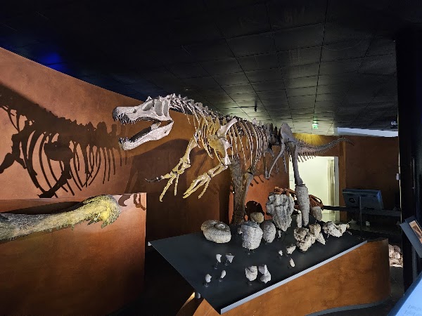 Muséum de Toulouse 4