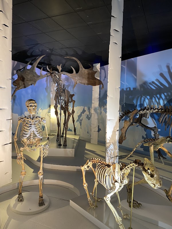 Muséum de Toulouse 2