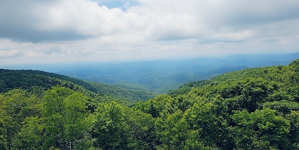 Milepost 305 Blue Ridge Parkway E