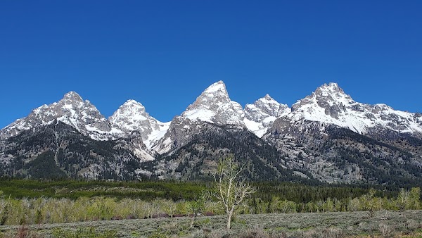 Jenny Lake 4