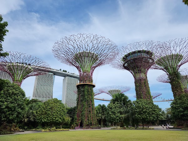 Supertree Grove 1