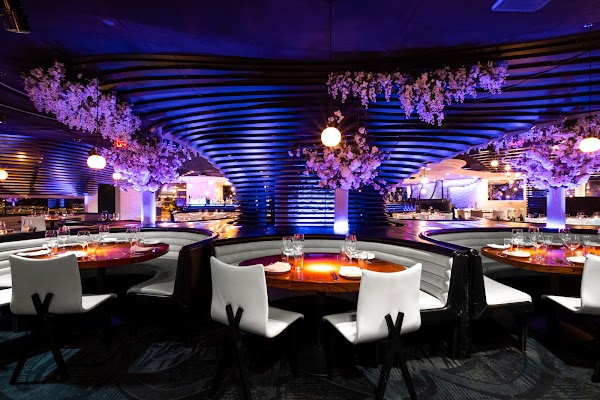 STK Steakhouse