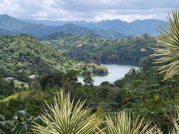 Utuado