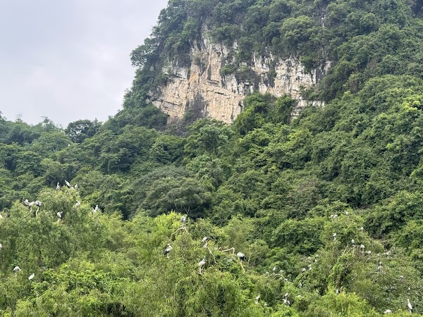 Khu du lịch sinh thái Thung Nham - Ninh Bình 3