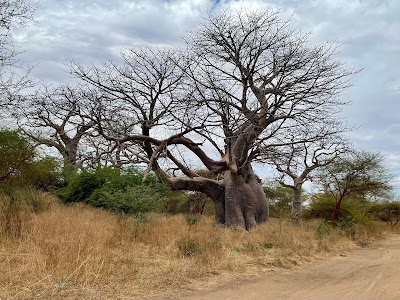 Bandia Reserve