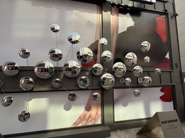 블루엘리펀트 홍대 플래그십스토어 BLUEELEPHANT HONGDAE FLAGSHIP STORE 2