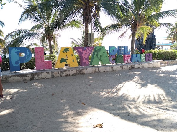 Letras Playa del Carmen