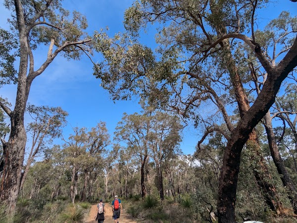 Railway Reserve Heritage Trail 1