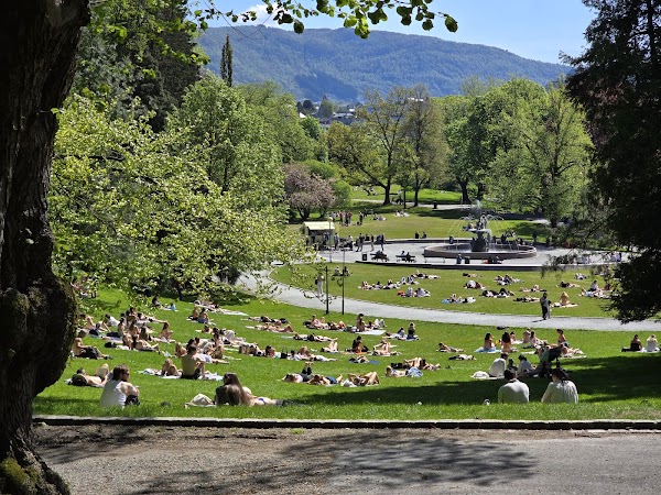 Nygårdsparken 5
