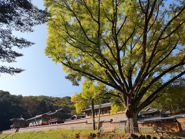 Guryongsa Temple 3