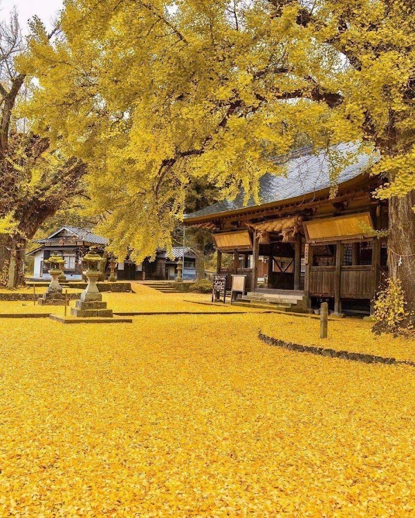 Okayama 4