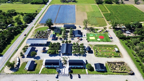 The Berry Farms
