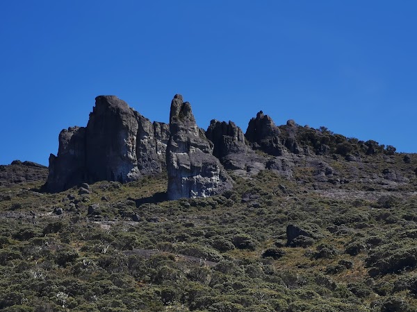 Chirripó National Park 3