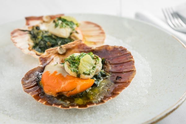 Rex Restaurant 5