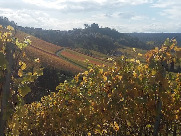Weingut Warth, Klaus D. Warth 2