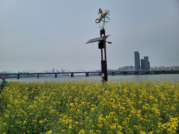 Seorae Island 3
