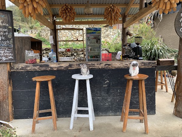 Sa Mộc Restaurant & Cafe Bar 1