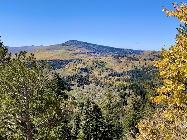 Zion Overlook