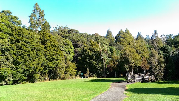 Trounson Kauri Park