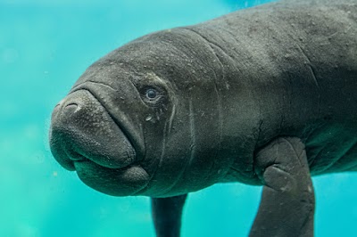 ZOO Wrocław
