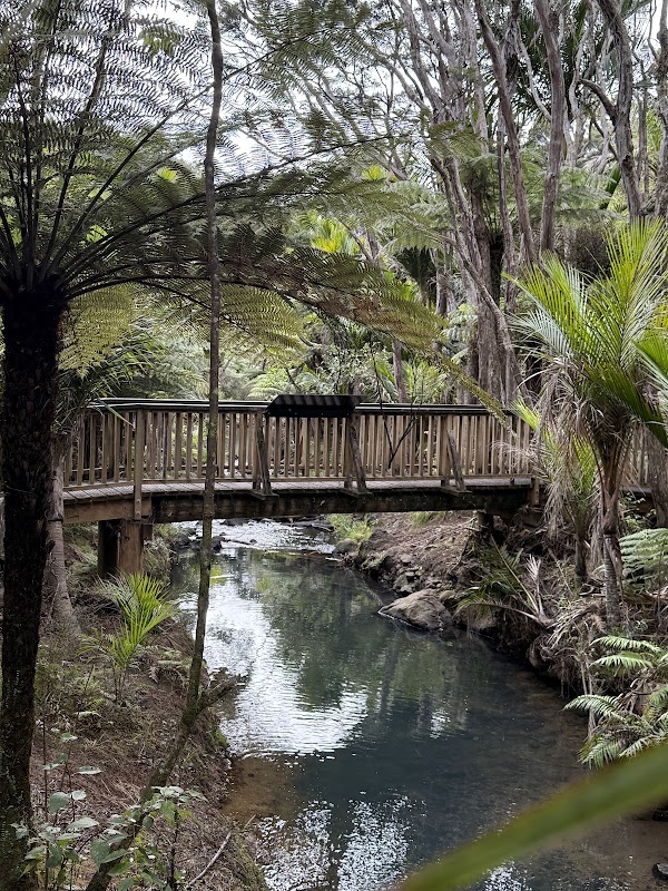 Kitekite Falls Walk Carpark