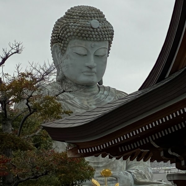 Hyogo Daibutsu (Statue of Buddha) 5
