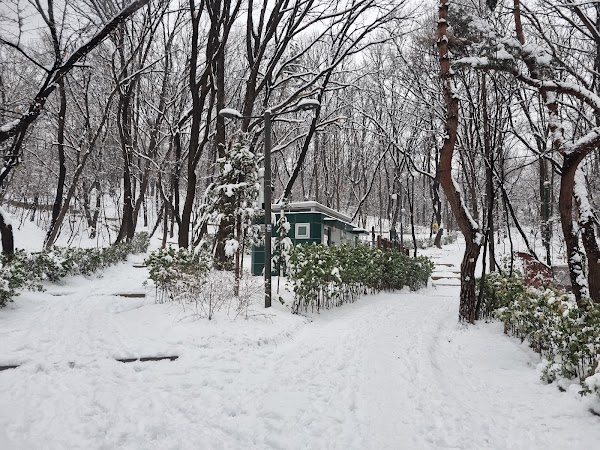 Cheongdam Park 4