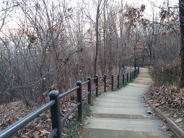 Cheongdam Park 2