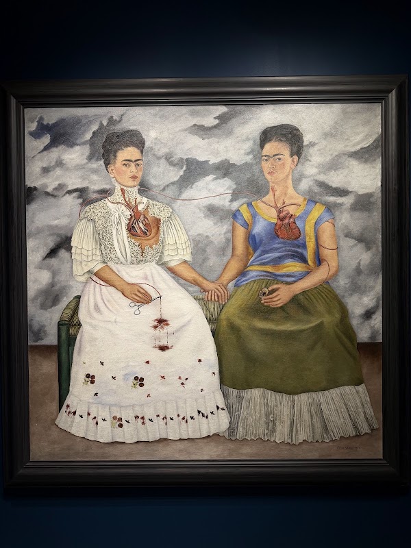 Museo de Arte Moderno 4
