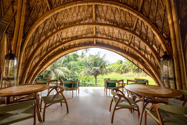 Beiji Rainforest Restaurant Bar and Cafe 1