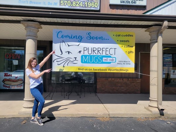 Purrfect Mugs Cat Cafe