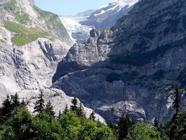 Upper Grindelwald Glacier 5