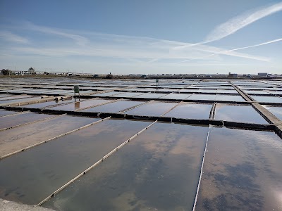Salinas de Aveiro