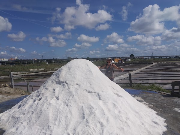 Salinas de Aveiro 5