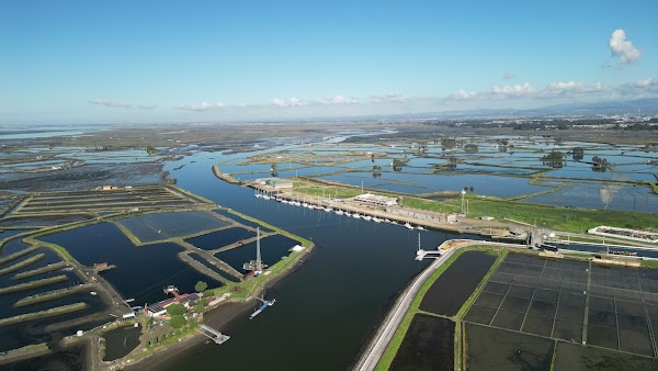 Salinas de Aveiro 4